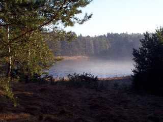 Schorfheide-Impressionen
