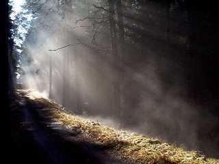 Schorfheide-Impressionen